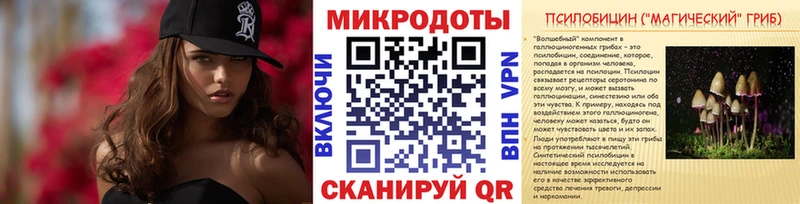 Купить  Покровск  Галлюциногенные грибы Psilocybine cubensis 